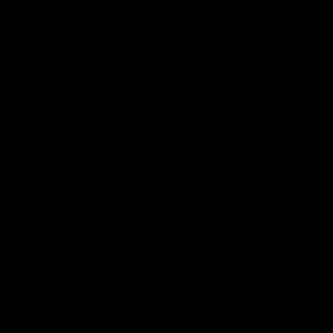 Meet your Posher, Cody